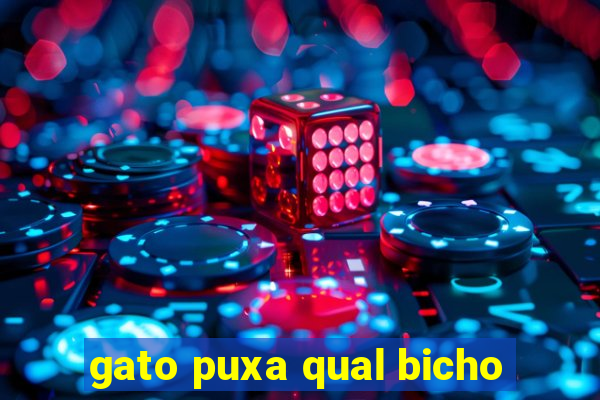 gato puxa qual bicho