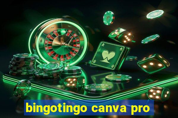 bingotingo canva pro