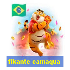 fikante camaqua