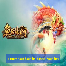 acompanhante neca santos