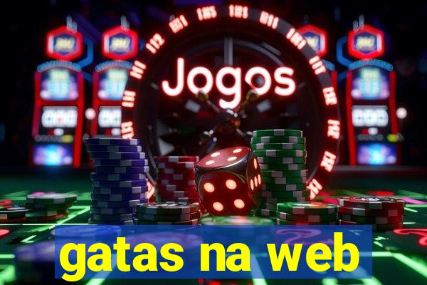 gatas na web